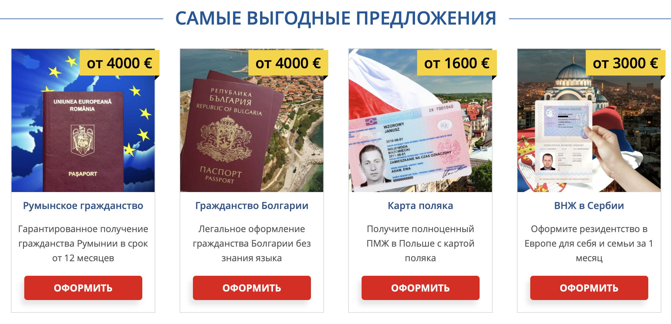 International Expert